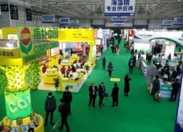 国产二十一区,二十一区影视产业的崛起与展望