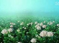 青青国产草视频,青涩情感演绎