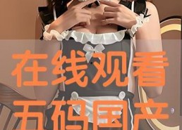 国产码在线,创新驱动下的产业变革