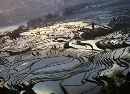 1024国产基地,引领科技潮流的国产创新力量