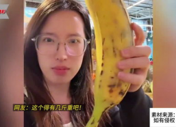 国产美女大香蕉,大香蕉演绎东方魅力